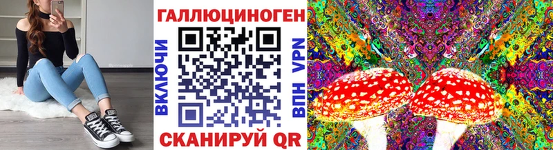 Псилоцибиновые грибы GOLDEN TEACHER  Заволжск 